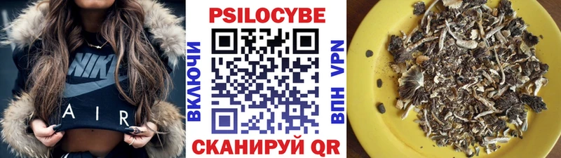 Псилоцибиновые грибы Psilocybine cubensis  Оленегорск 